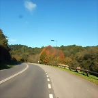 DSCN4389