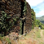 DSCN1520