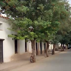 SAN CARLOS ( RUTA 40 A CACHI)