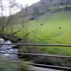 DSCN9654
