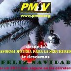 pmsv-feliz2011