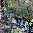 DSCN0531