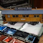 DSC00828 (Medium)