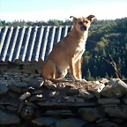 DSCN9087