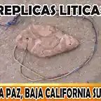 LA PAZ, BAJA CALIFORNIA SUR 007