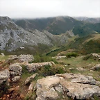 DSCN6655