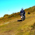 1-IMG_4374