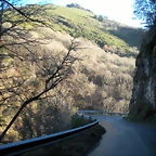 DSCN2413