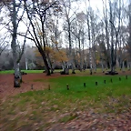 DSCN0778