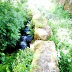 DSCN2449