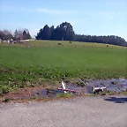 DSCN8129