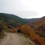 DSCN3097