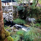 DSCN8426