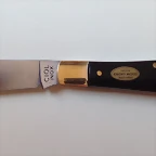 Capa grilos 1