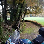 DSCN0741