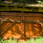 DSCN2417