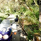DSCN4894