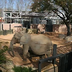 Zoo de Barcelona 04-03-11 241
