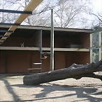 Zoo de Barcelona 04-03-11 496