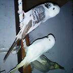 DSC00073