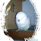 DSC000770