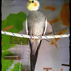 DSC00457