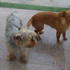 SAM_0580