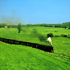 Field Cutter