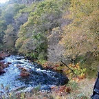 DSCN9254