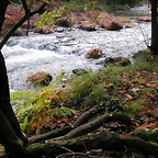 DSCN9258