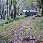 DSCN9261