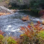 DSCN9257