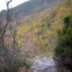 DSCN0784