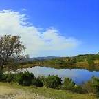 78-IMG_3517
