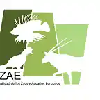 AZAE