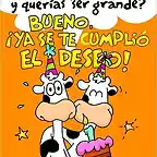 feliz_cumple_662457_t0