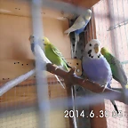 CIMG0476