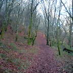 DSCN2086