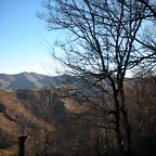 DSCN2392