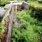 DSCN4356'2