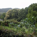 DSCN4718
