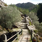 DSCN1961