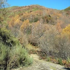 DSCN6857