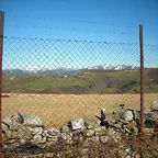 DSCN2915