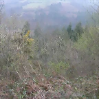DSCN8169