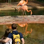 Zoo de Barcelona 17-03-11 134