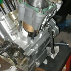 DSCN5979