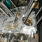 DSCN5975