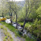 DSCN1412