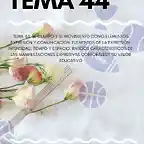 tema 43(1)